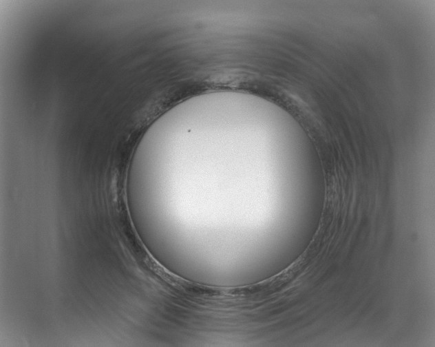 X0000071810504200606301039