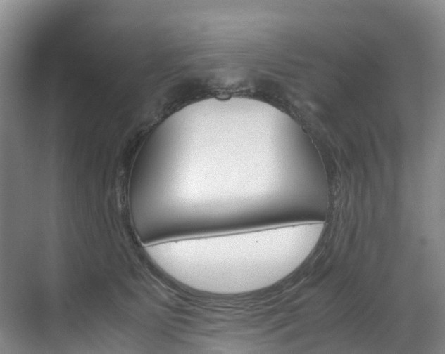 X0000071810515200606301039