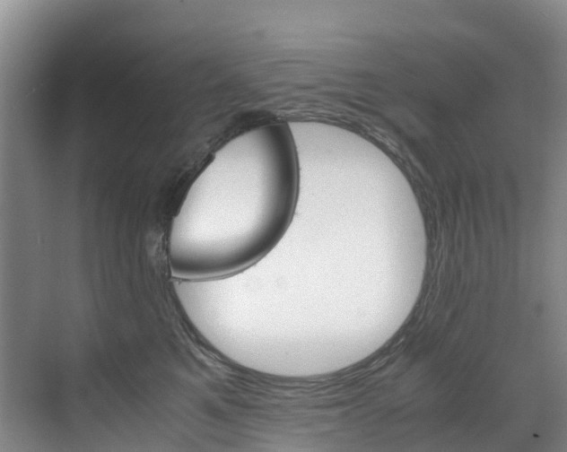 X0000071810521200606301039