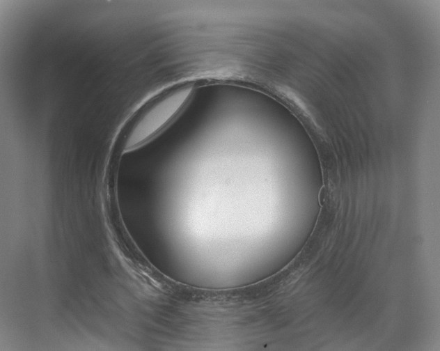 X0000071810532200606301038