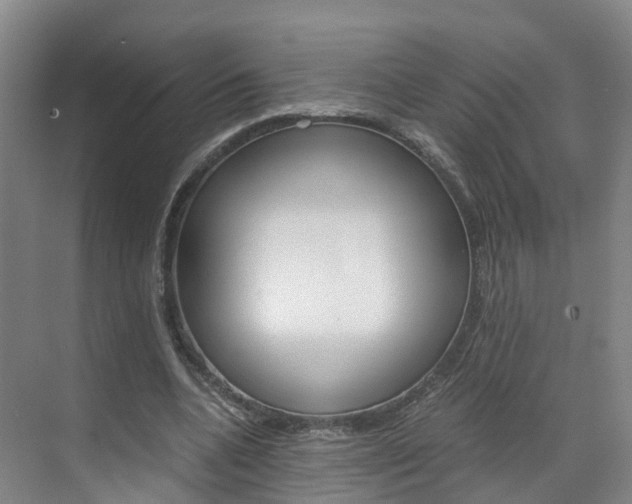 X0000071810536200606301038