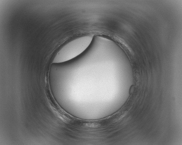 X0000071810541200606301038