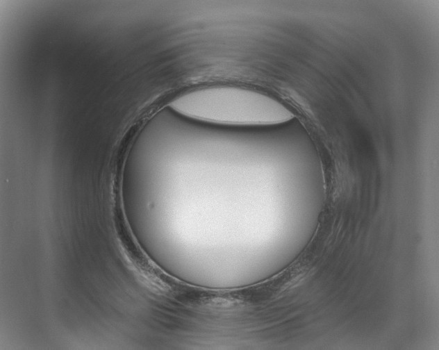 X0000071810542200606301038