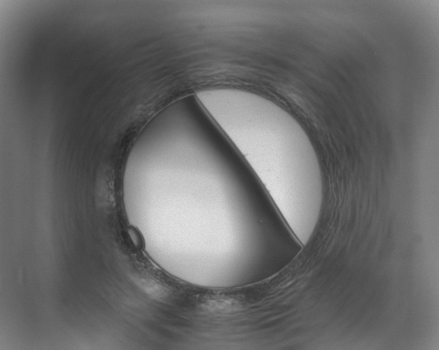 X0000071810547200606301038