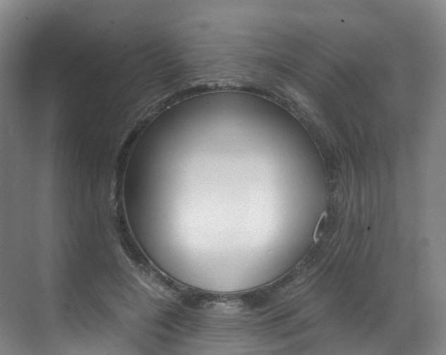 X0000071810548200606301038
