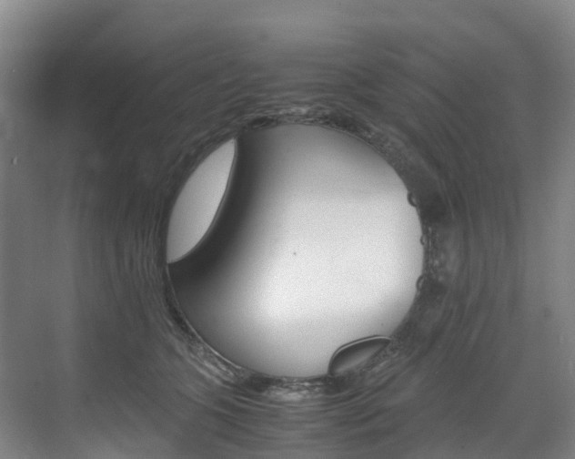 X0000071810563200606301038