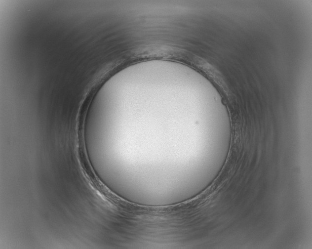 X0000071810578200606301038