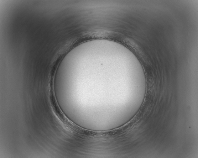 X0000071810586200606301038