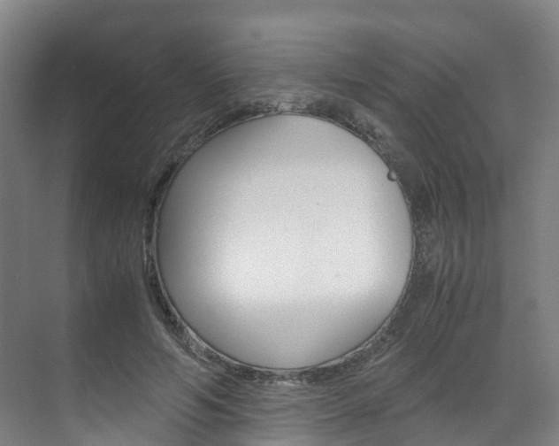 X0000071810594200606301037