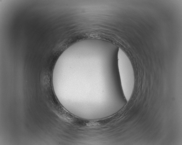 X0000071810603200606301037