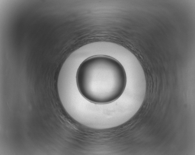 X0000071810609200606301037