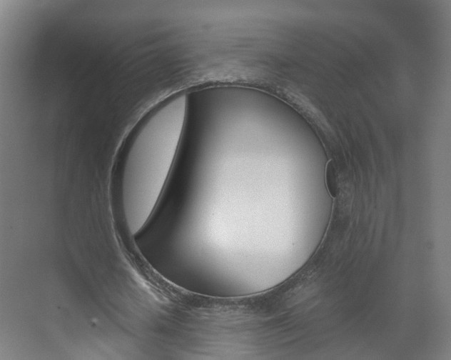 X0000071810626200606301036
