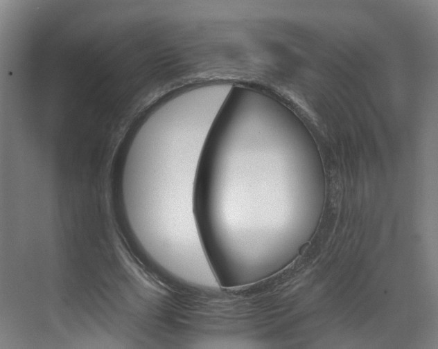X0000071810631200606301036