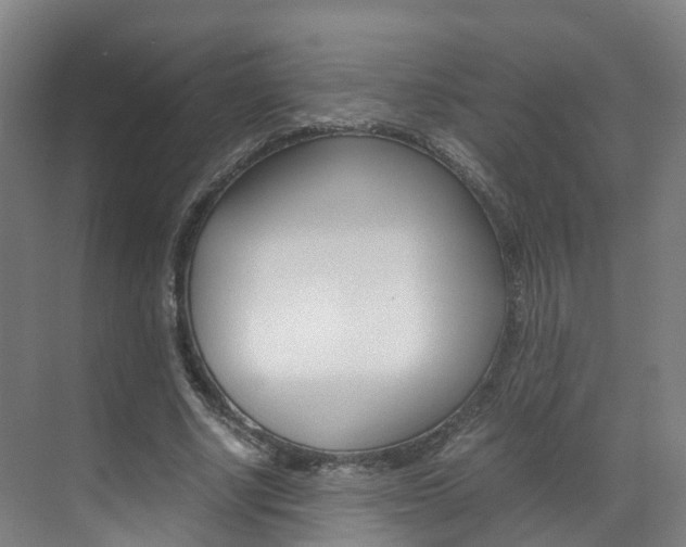 X0000071810634200606301036