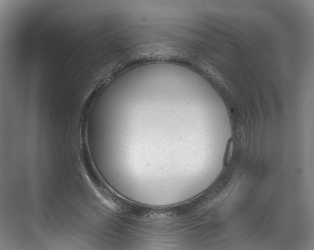 X0000071810638200606301036