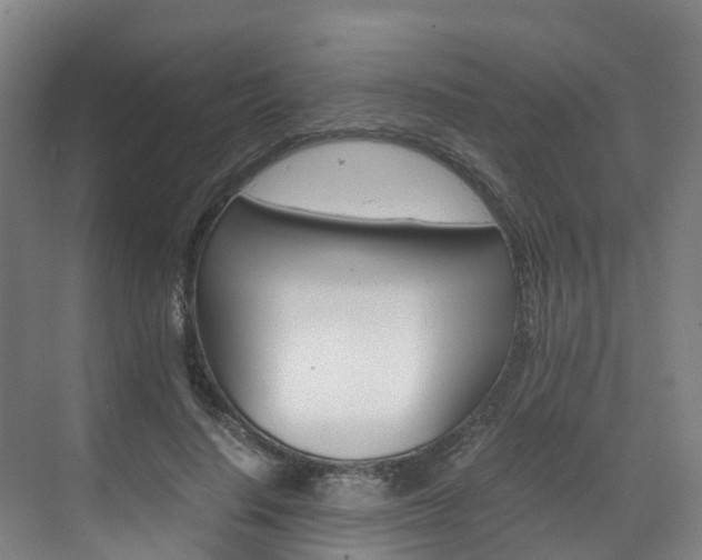 X0000071810644200606301036