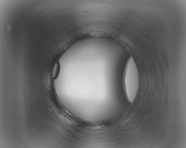 X0000071810646200606301036