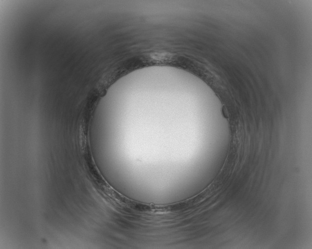 X0000071810651200606301037