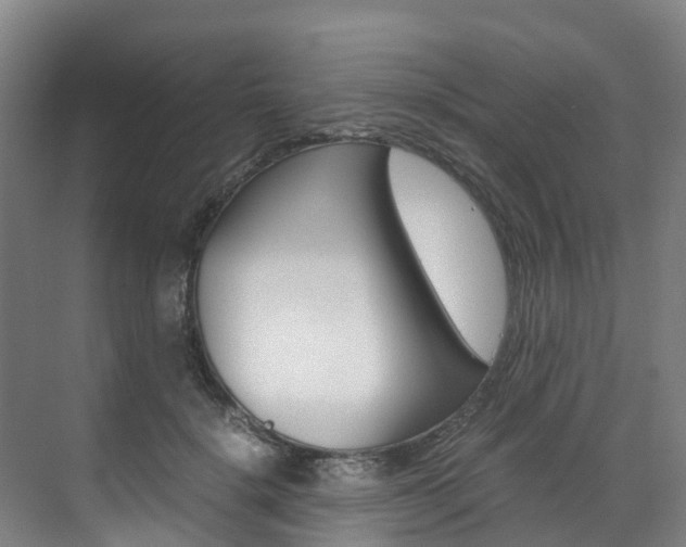 X0000071810652200606301037