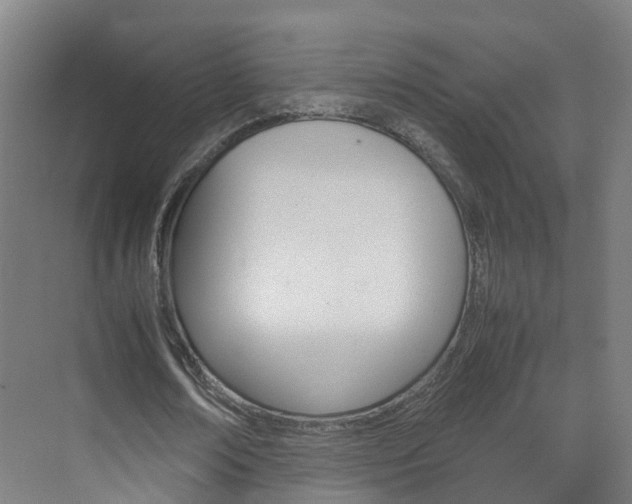 X0000071810674200606301036