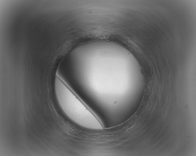 X0000071810693200606301036