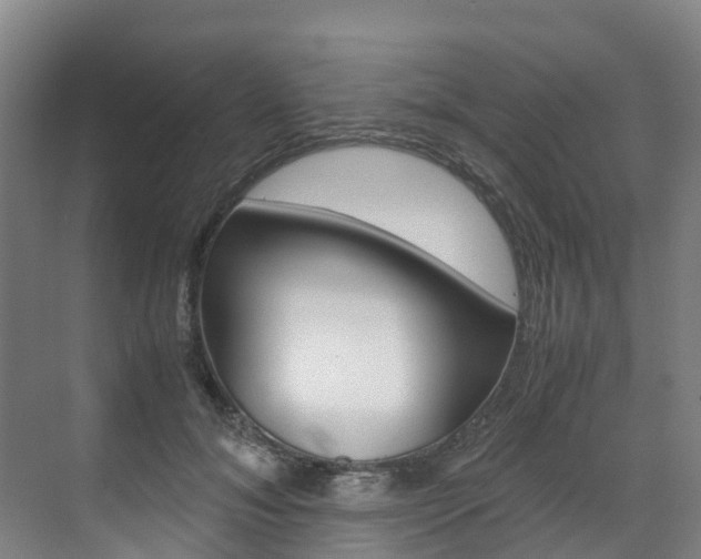 X0000071810700200606301036