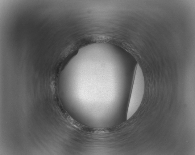 X0000071810716200606301035