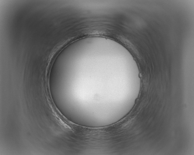 X0000071810721200606301034