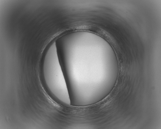 X0000071810725200606301035