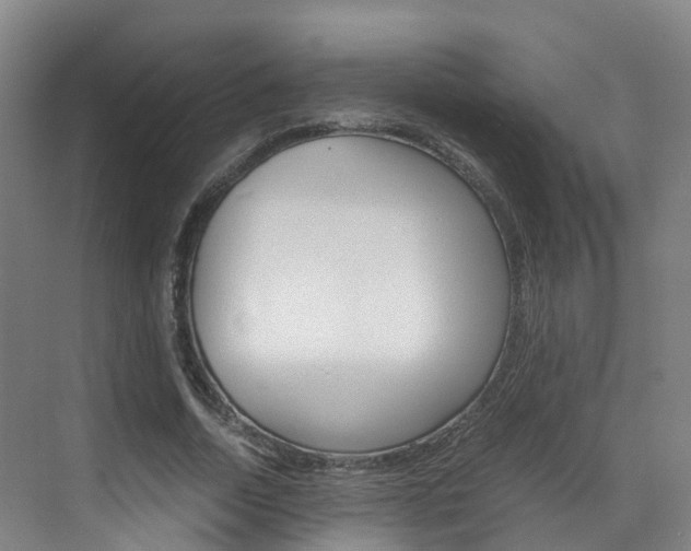 X0000071810730200606301035