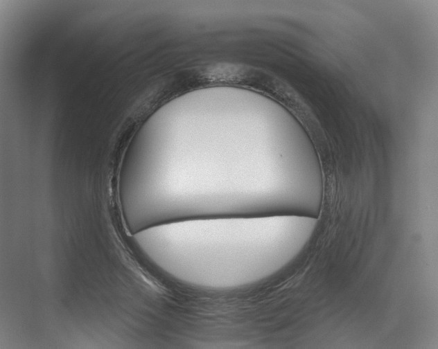 X0000071810733200606301035