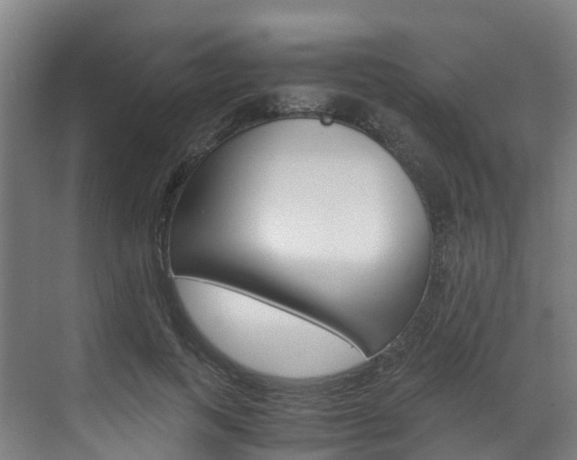 X0000071810743200606301035