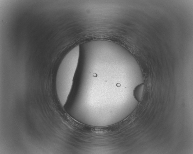 X0000071810746200606301035