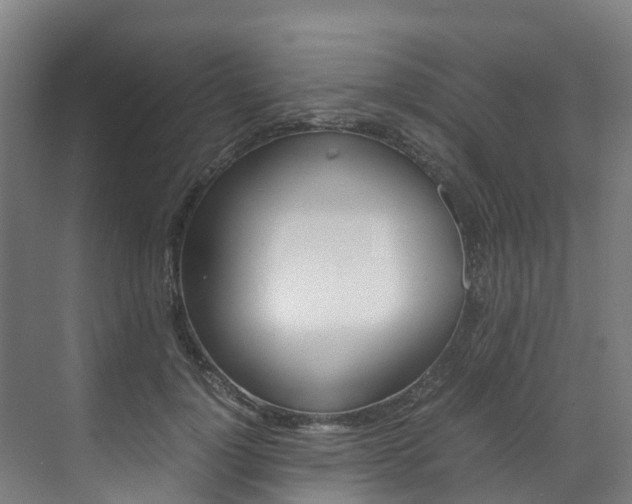 X0000071810748200606301035