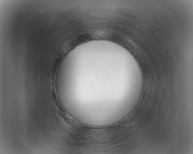 X0000071810749200606301035