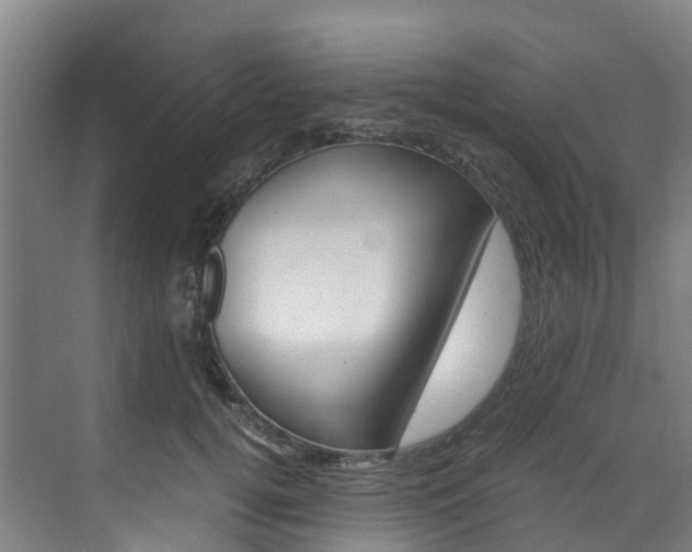 X0000071810752200606301035
