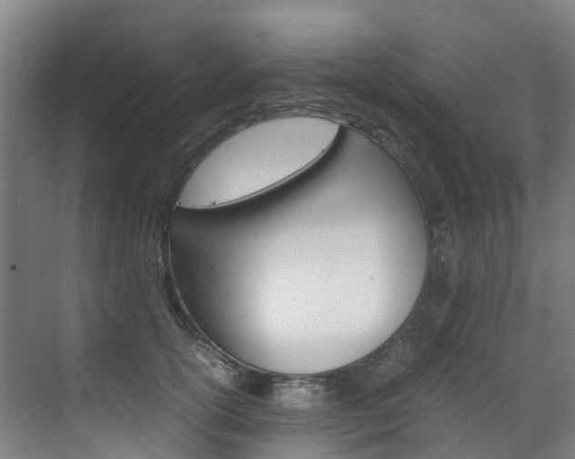 X0000071810754200606301035