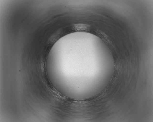X0000071810763200606301035