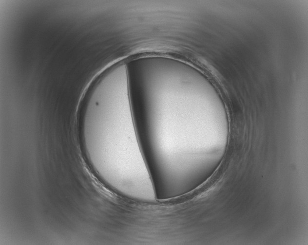 X0000071810779200606301034