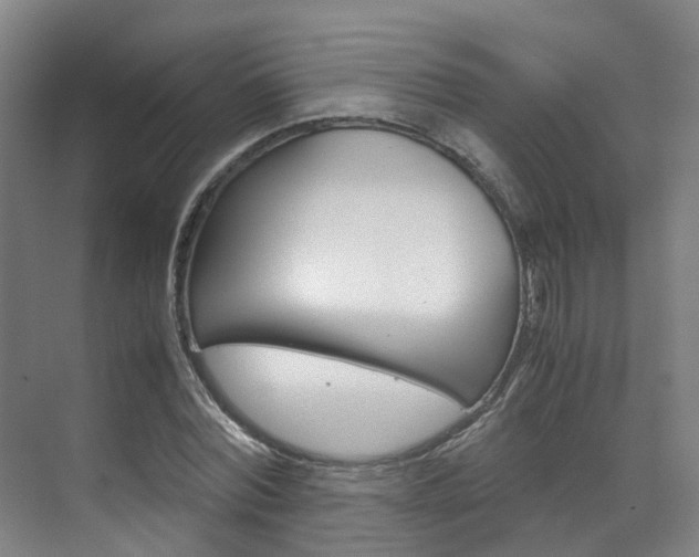 X0000071810780200606301034