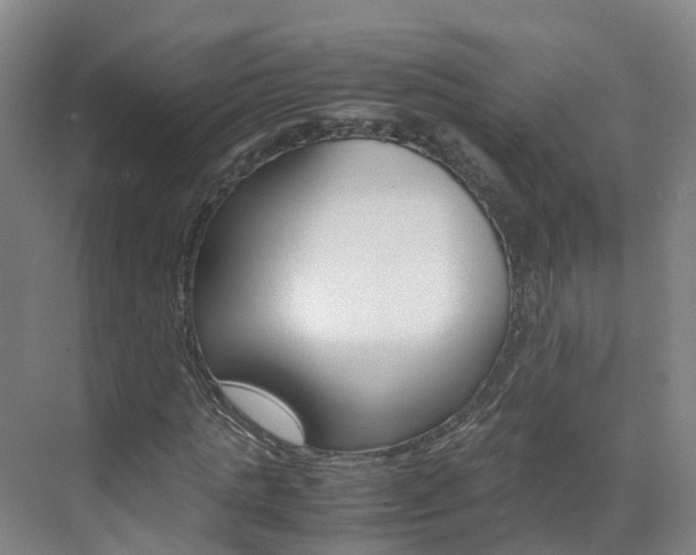 X0000071810821200606301033