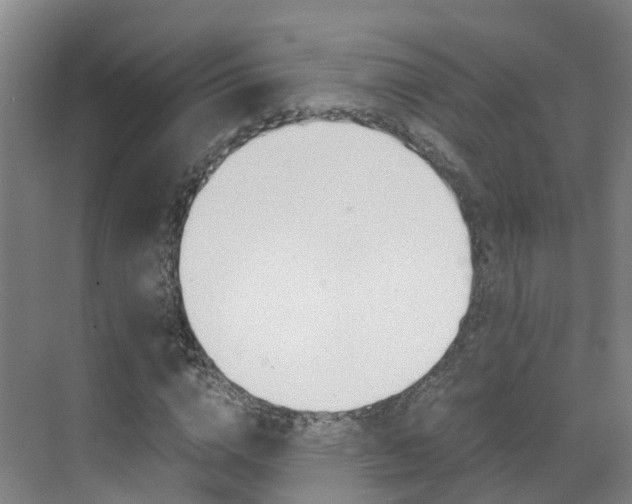 X0000071810824200606301033