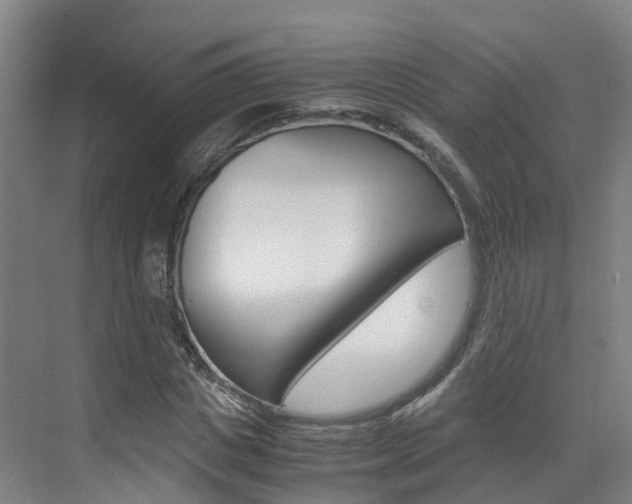 X0000071810825200606301033