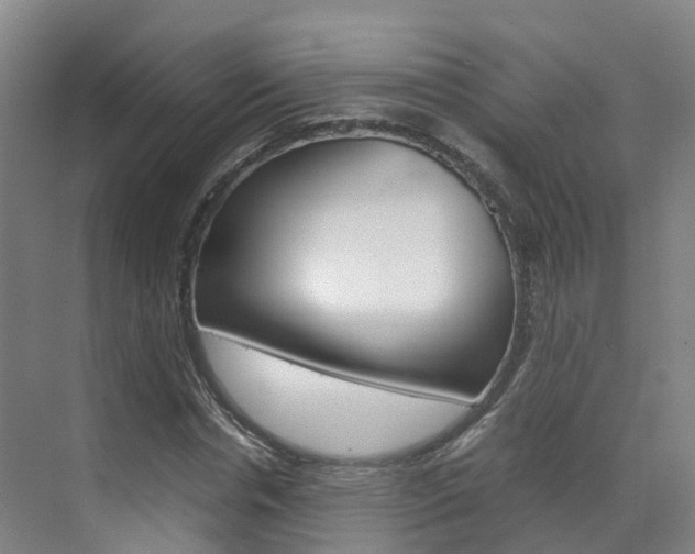 X0000071810826200606301033