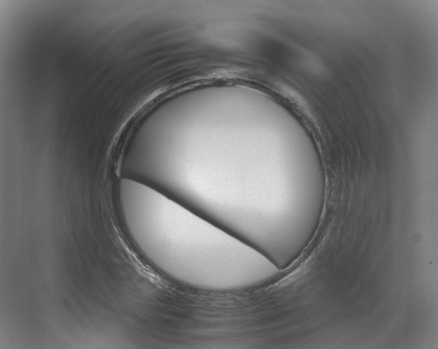 X0000071810827200606301033