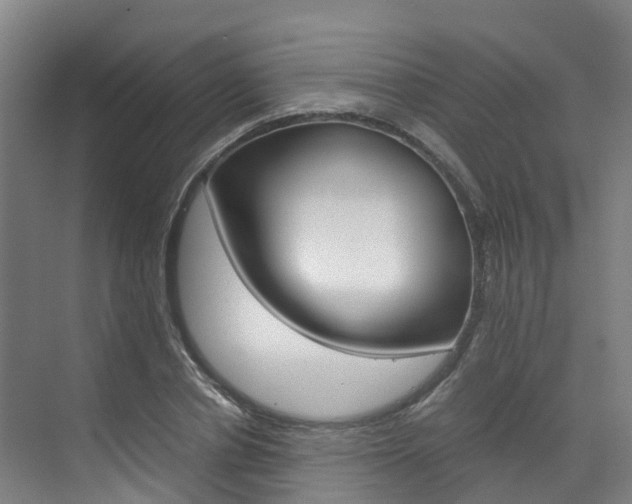 X0000071810834200606301033