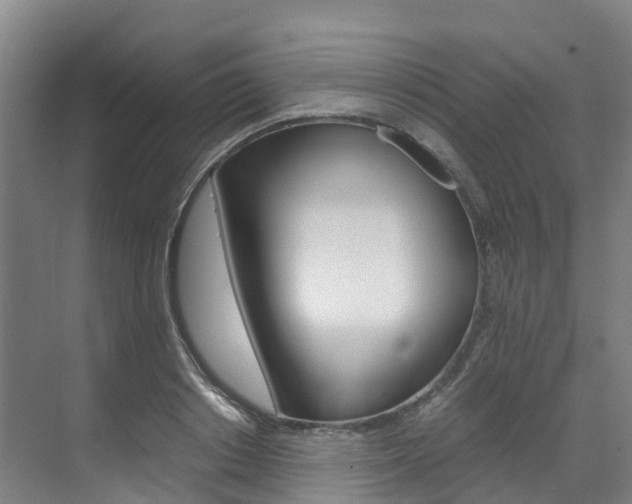X0000071810842200606301033