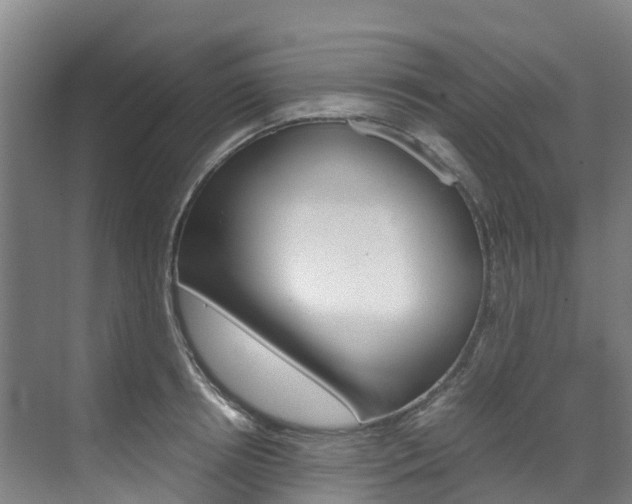 X0000071810850200606301033