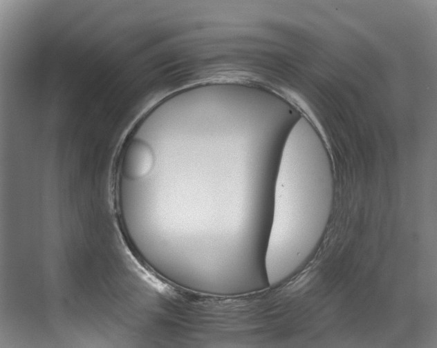X0000071810851200606301033
