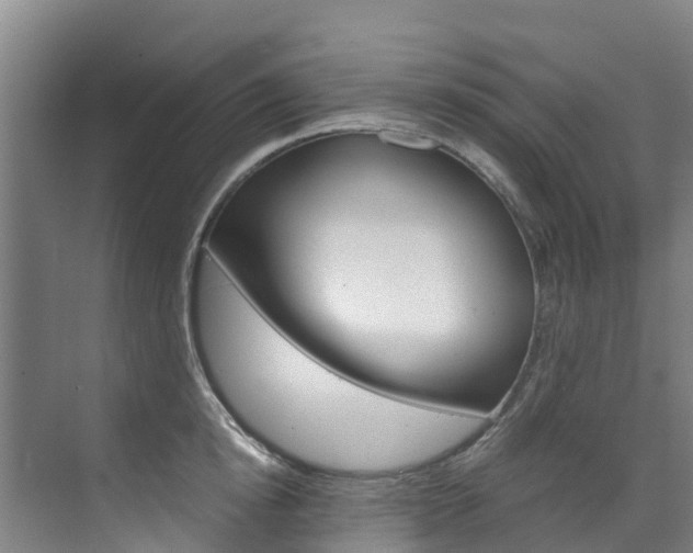 X0000071810854200606301033